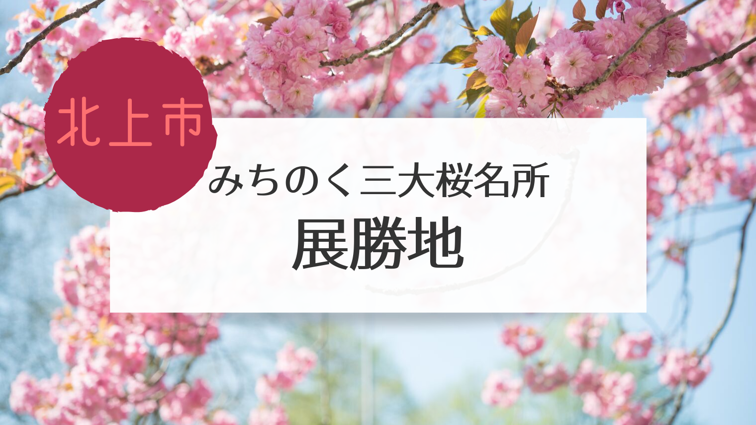 北上 展勝地の桜は散ったけど 鯉のぼりや屋台を満喫しました こぎの岩手情報ブログ